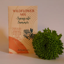  Wildflower Seed Mix - Spring Into Summer Blend