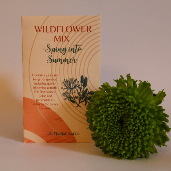 Wildflower Seed Mix - Spring Into Summer Blend