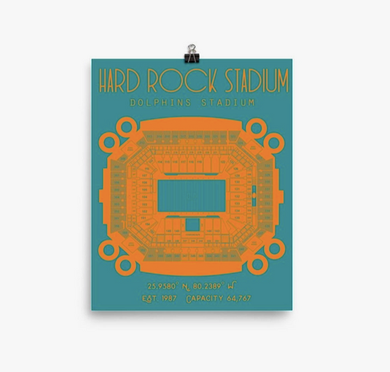 Dolphins Stadium Print